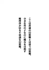 (C93) [Madou Shiryoushitsu (Arashi-D-Akira, emina)] Black or Kinshi (Touhou Project)