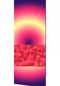 [Anthology] InNyu Seibo