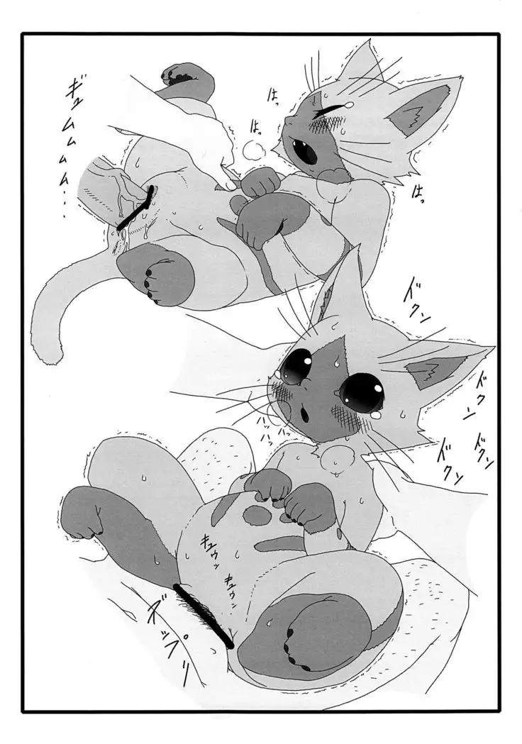 | Late Night Prowler