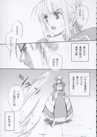 (SC24) [Badon (Kida, Kine)] Inheritor (Fate/stay night)