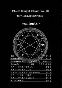 Shield Knight Elsain Vol. 10