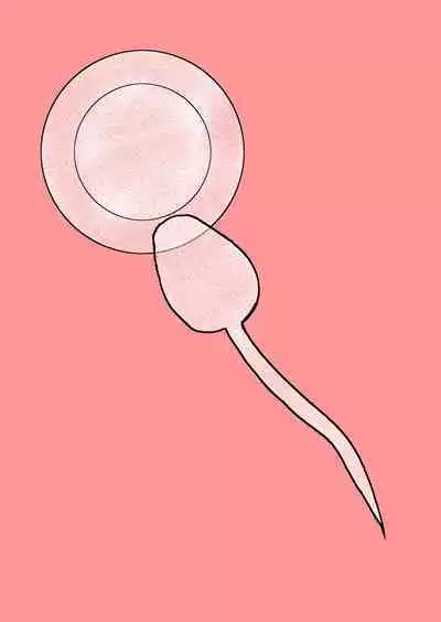 Watashi to Dare no Ko?