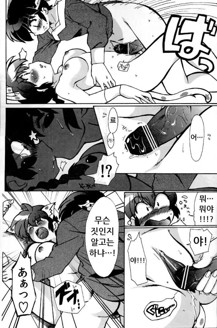 Doujouyaburi no Kata wa Katteguchi e Omawari Kudasai.