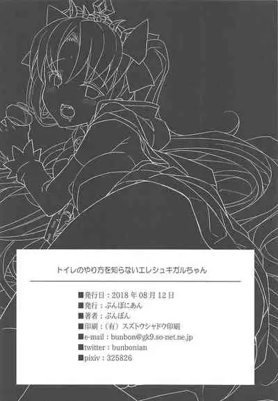 (C94) [Bunbonian (Bunbon)] Toile no Yarikata o Shiranai Ereshkigal-chan (Fate/Grand Order) [Chinese] [黎欧x新桥月白日语社]