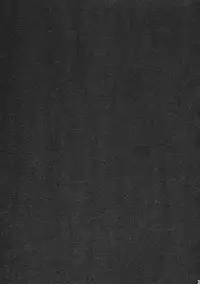 (C77) [IncluDe (Foolest)] ErAseRmoToR maXimUM (Touhou Project)