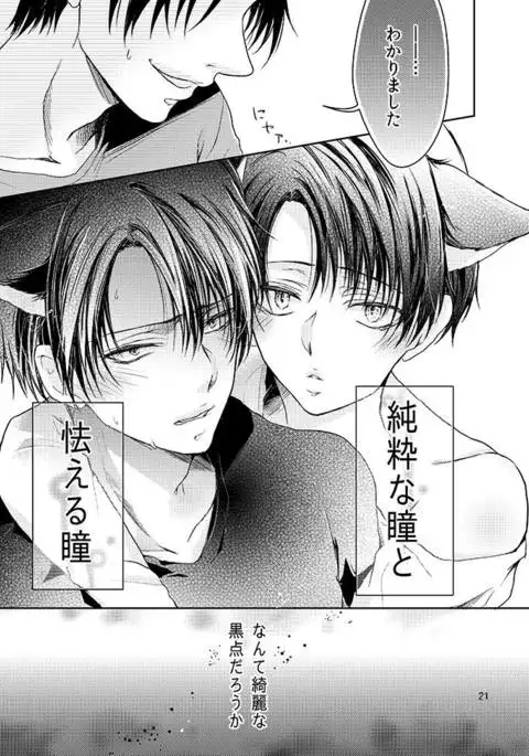 Futago neko hiroimashita