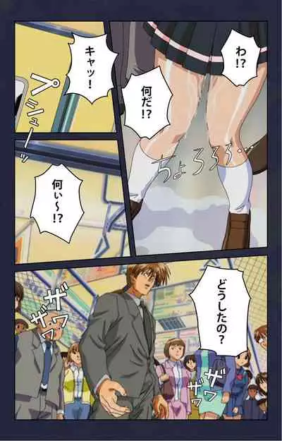 Chikan Densha kanzenhan