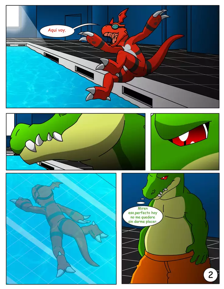 Divirtiéndose en la piscina