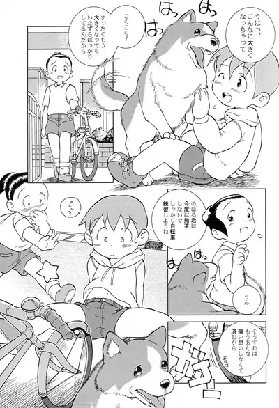 MP XX eXXtended Edition