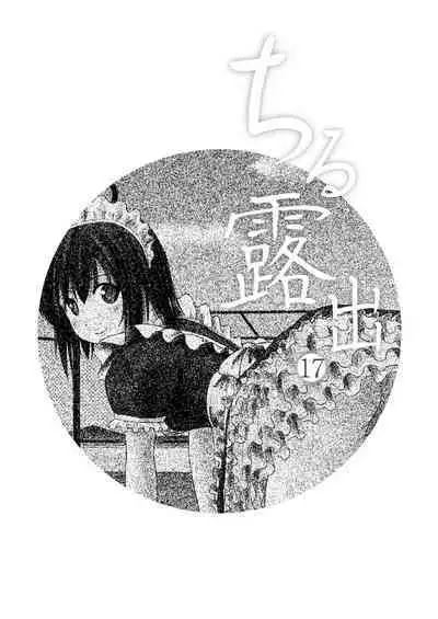 Chiru Roshutsu 17 | 琪露露出 17