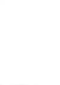 [Chronolog, Ros] - Ever Green