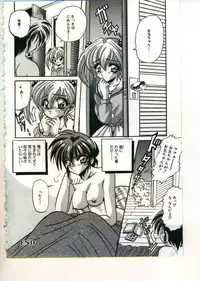 [Appleton] Fairy Paradise