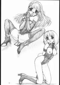 (CR28) [MEKONGDELTA (Route39)] SHADOW GALLERY