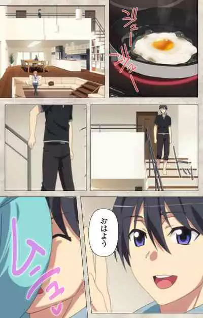 Ane Yome Quartet Kanzenban