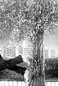 [Nippa Takahide] Mankai Harem School