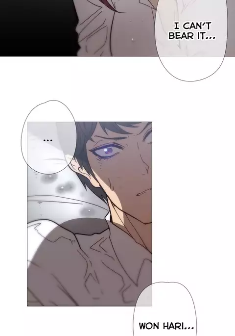 Household Affairs Ch.1-40