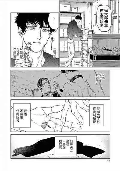 TOKYO Hikari Auction｜东京光之拍卖会