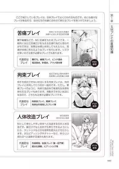 いますぐデキる 図説SMプレイマニュアル