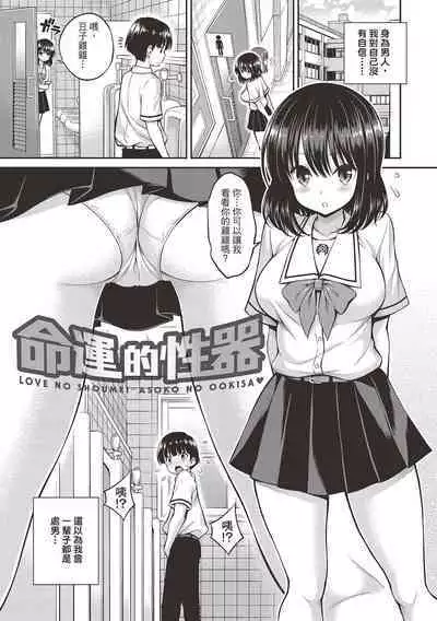 Himichu | 偷1偷KISS