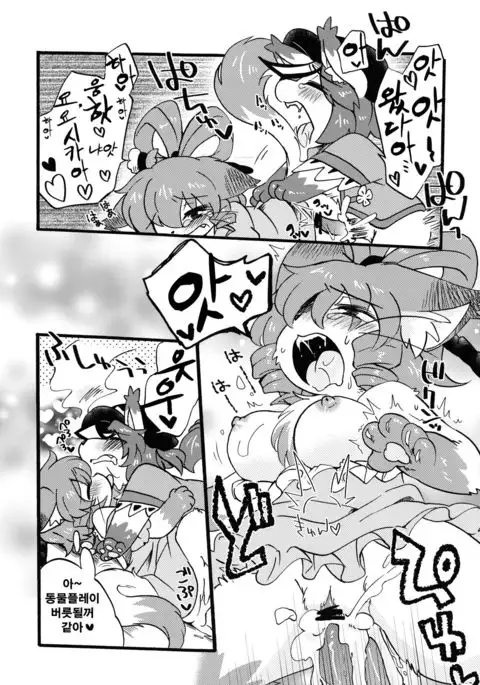 Dororicchi | 도로리치