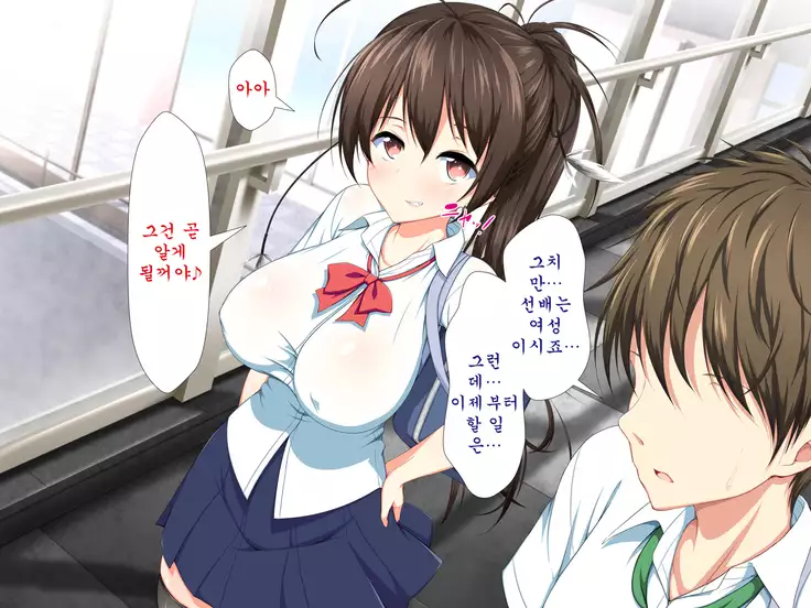 Inran Virus ~Seikoui wa Iryoukoui~ <팀 혼파망>