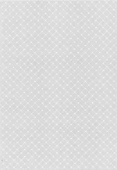 Seinaru Yoru to Omocha Asobi