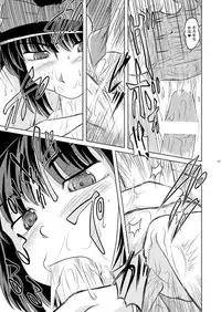 (Sekitan Bukuro) THUNDER CLOTH (Touhou Project)