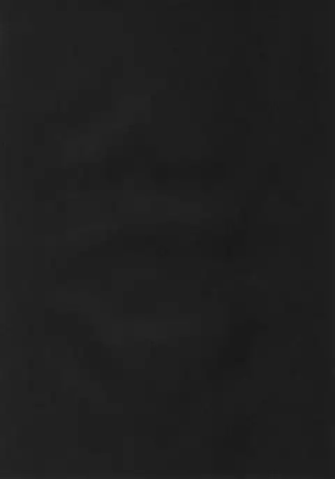 P to Usagi no Yoru no Nichijou