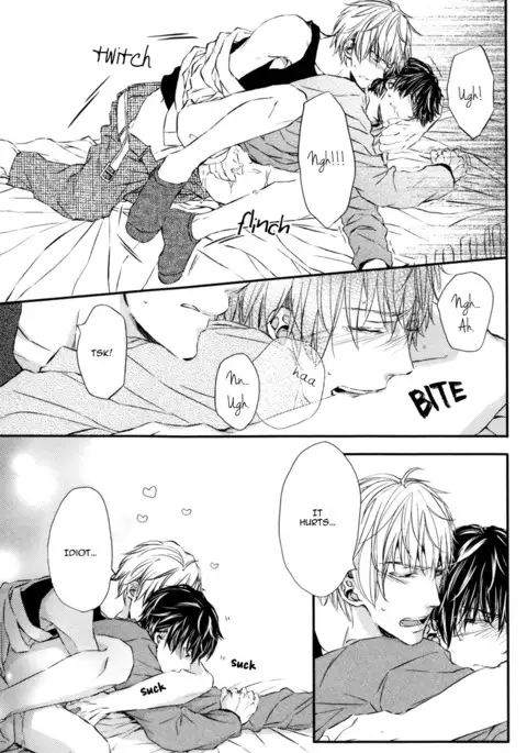 Kare no Shousou to Koi ni Tsuite