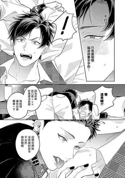 Dom/Sub Universe BL 01-03