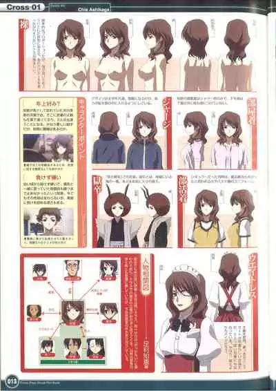 Cross Days Visual Fan Book