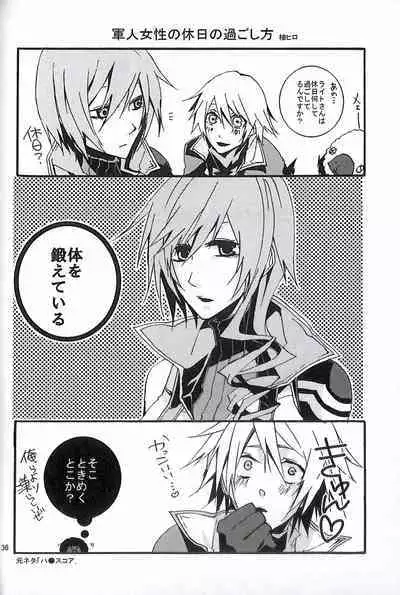 Final Fantasy 13 Fan book