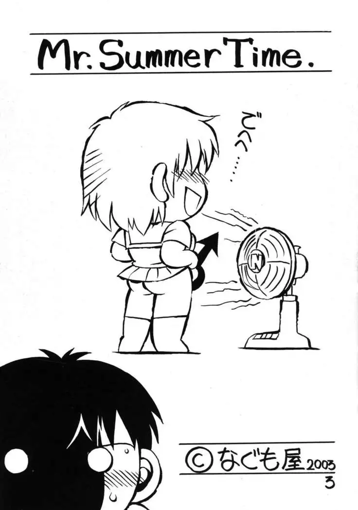Mr. Summer Time