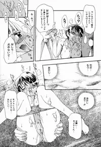 [Takashita Takashi] Young Paradise