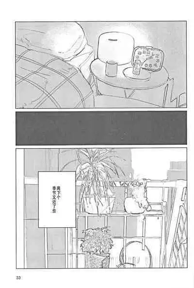 Sazanka no Saku Koro ni | 山茶花开时