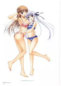 Walkure Romanze More & More Visual Fan Book