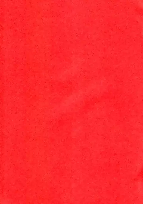 Yasha no Mori | Yasha Grove