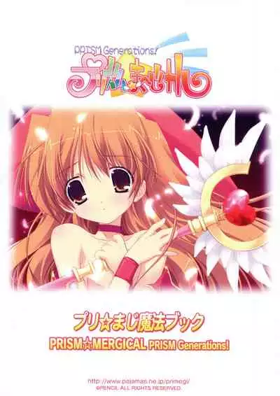 PRISM MERGICAL