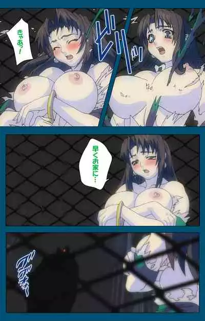 Angel Blade Kanzenban