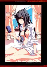 Dies irae Visual Fanbook - Red Book (Resale Version)