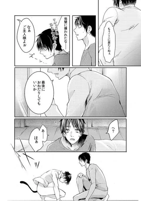 Futago neko hiroimashita