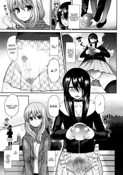 Domestic Dog | Домашняя Собаука