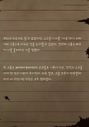 Sage Lavinia's Last Note ~ In the ruin of orc fort ~