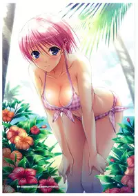 Walkure Romanze More & More Visual Fan Book