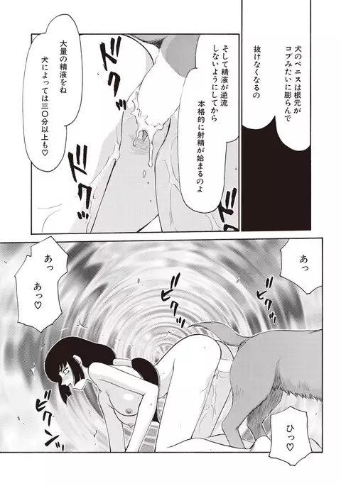 Yuukyuu no Toki Shinsouban