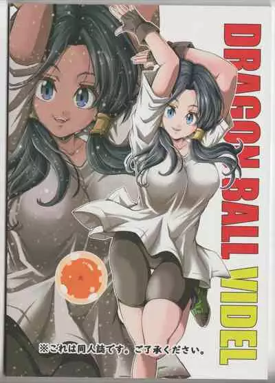 Episode of Videl NO. 1