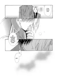 [Ronno & Kalus (Takada Bambi)] Hermaphrodite 9 (Fullmetal Alchemist) [English] [Secret Garden]