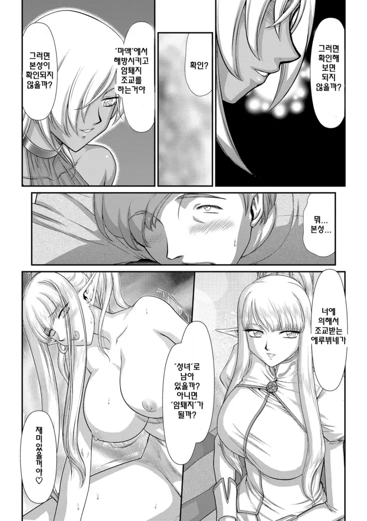 Inraku no Seijo Elvine | 음락의 성녀 에루뷔네