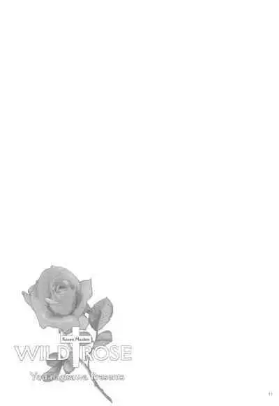 Punipoyon summary version