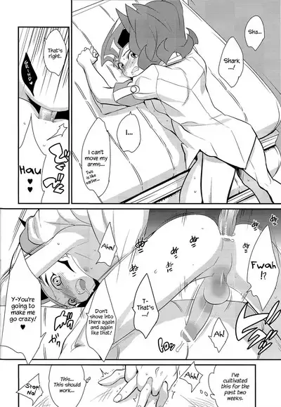 Little Pony Tragic Shark